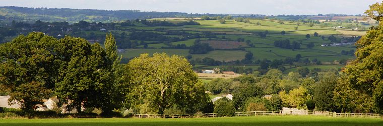 Bed and breakfast accommodation near Lyme Regis